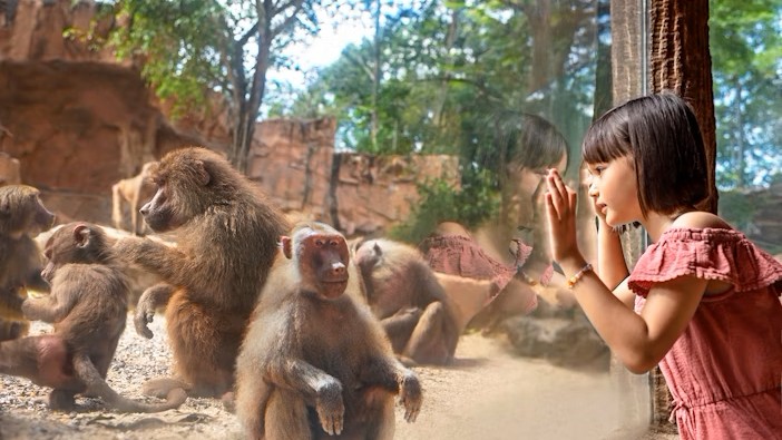 シンガポール動物園の魅力を探る